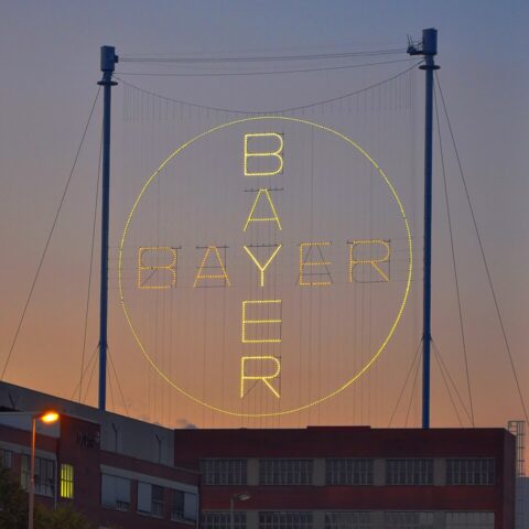 Bayer Kreutz